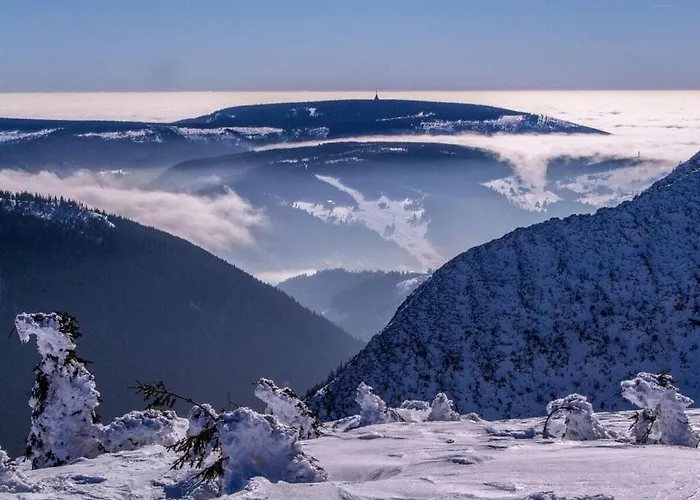 Schneekoppe Dg Comfortable Tatil Evi